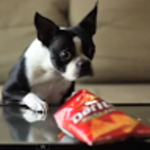 Meet your Posher, Amiyah